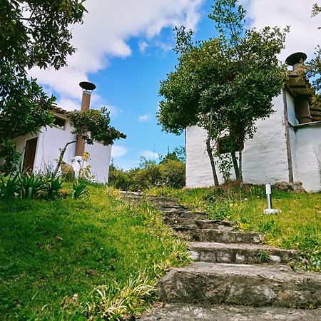Villa Jardin Colibri Rnt 33633 Guatavita Esterno foto