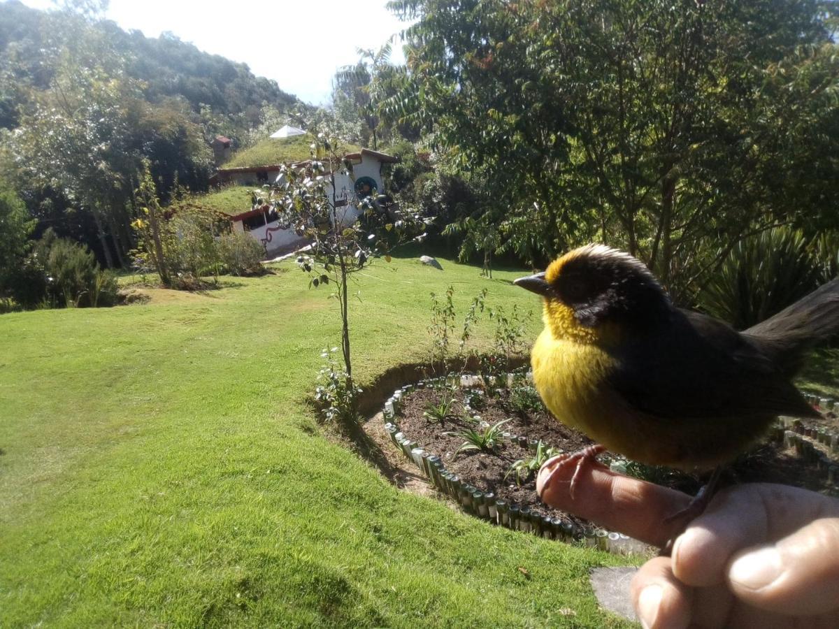 Villa Jardin Colibri Rnt 33633 Guatavita Esterno foto