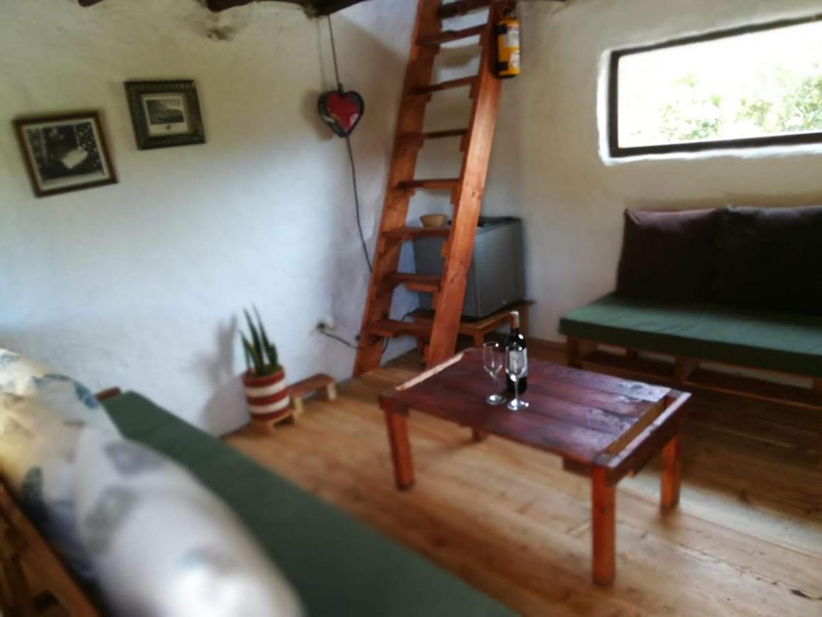 Villa Jardin Colibri Rnt 33633 Guatavita Esterno foto