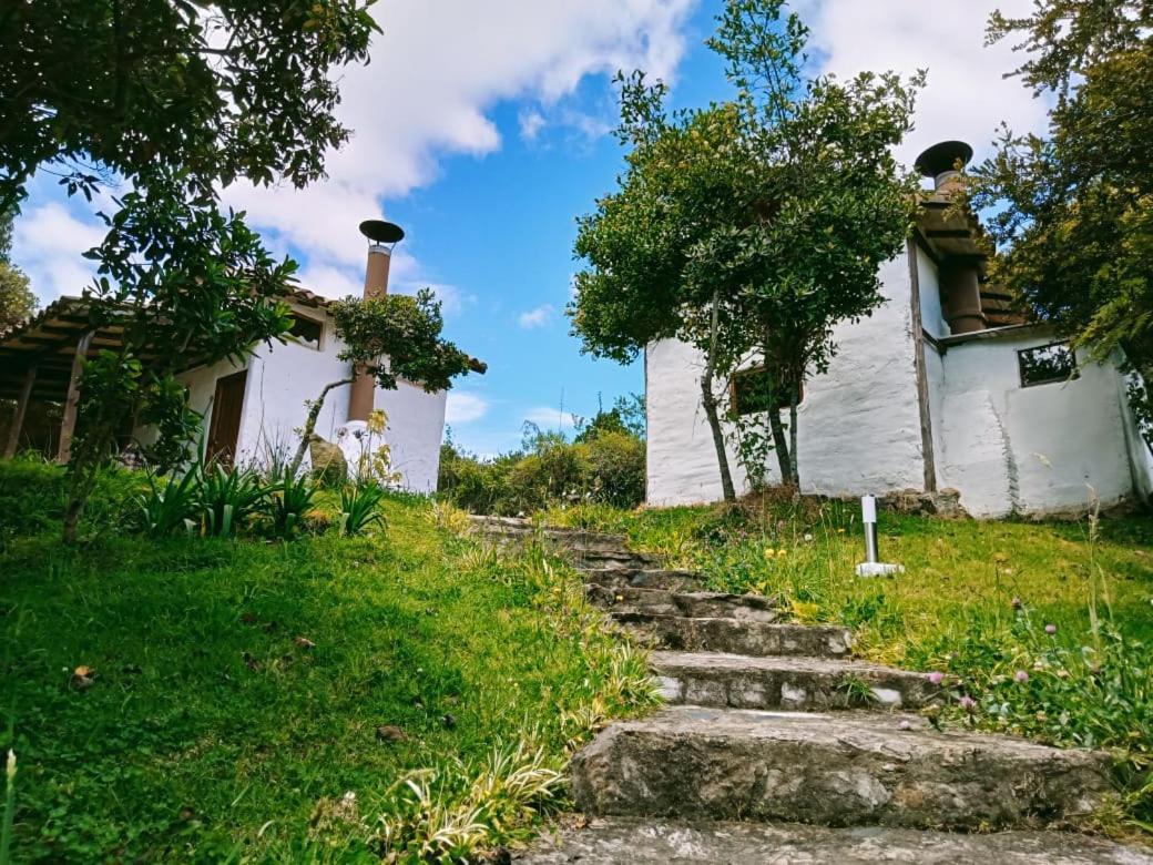 Villa Jardin Colibri Rnt 33633 Guatavita Esterno foto