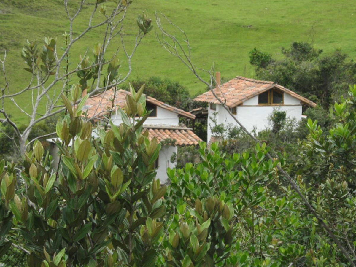 Villa Jardin Colibri Rnt 33633 Guatavita Esterno foto