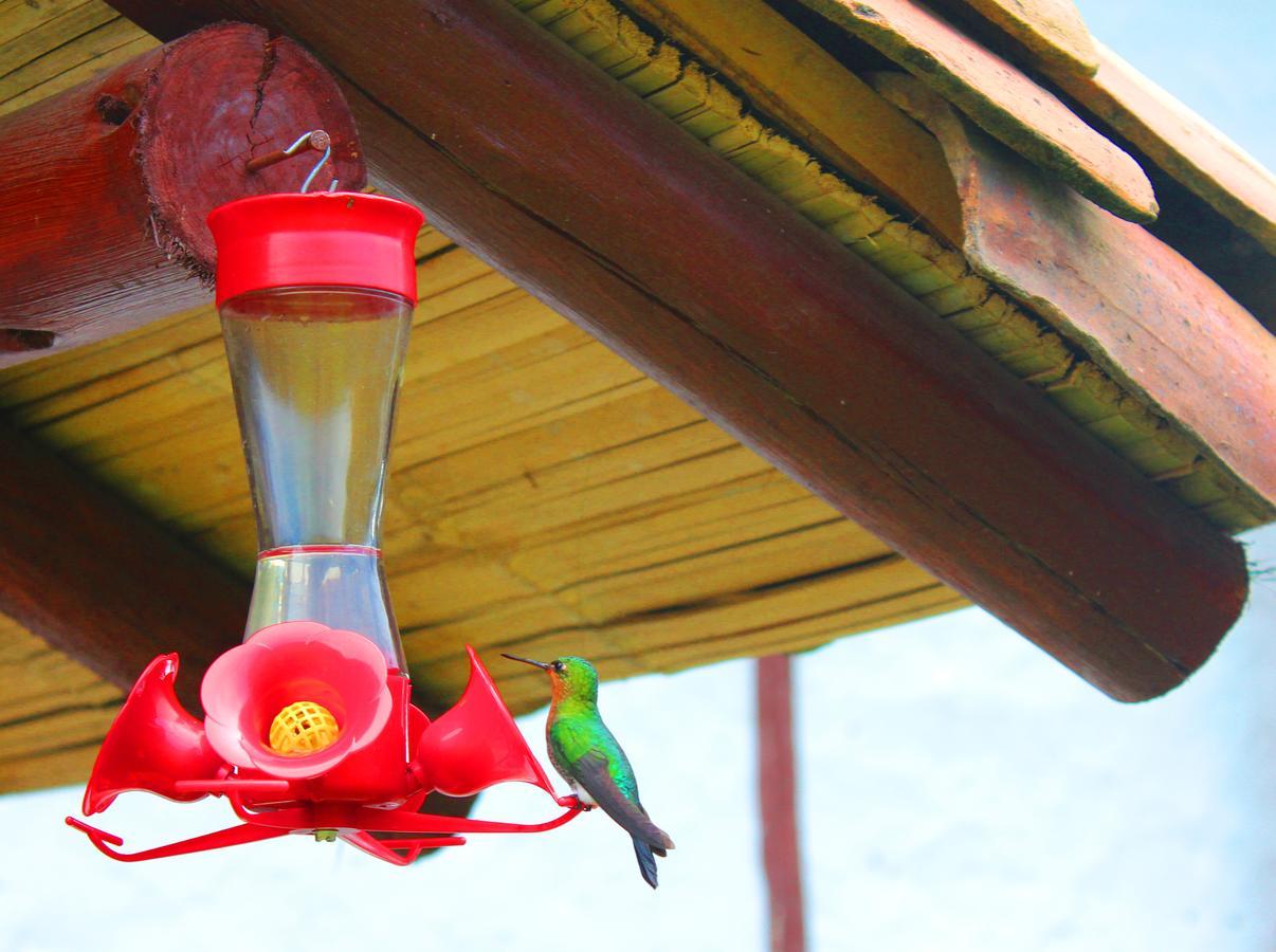 Villa Jardin Colibri Rnt 33633 Guatavita Esterno foto